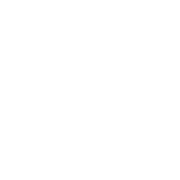 shopping icon